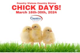 Chick Days - 2024 Coming March 16th - 30th